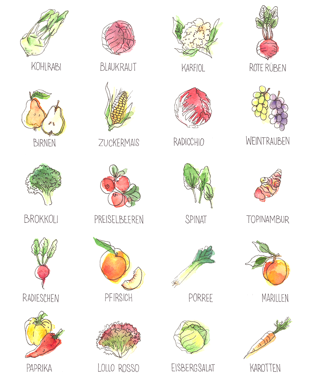 Obst & Gemüse Saisonkalender Österreich