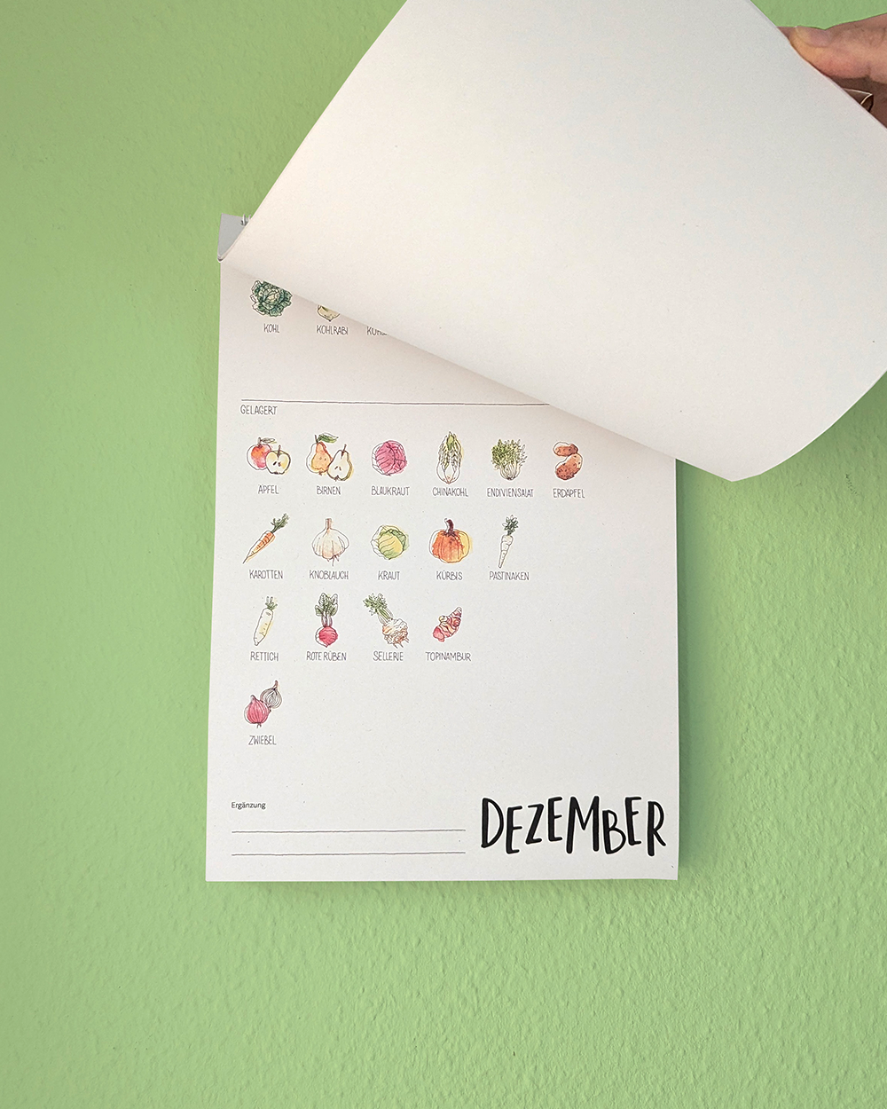 Obst & Gemüse Saisonkalender Österreich